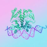 visualization from Alphafold 3